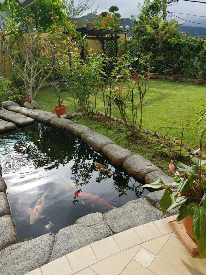 Crystal Cameron Vacation Bungalow คาเมรอนไฮแลนด์ ภายนอก รูปภาพ